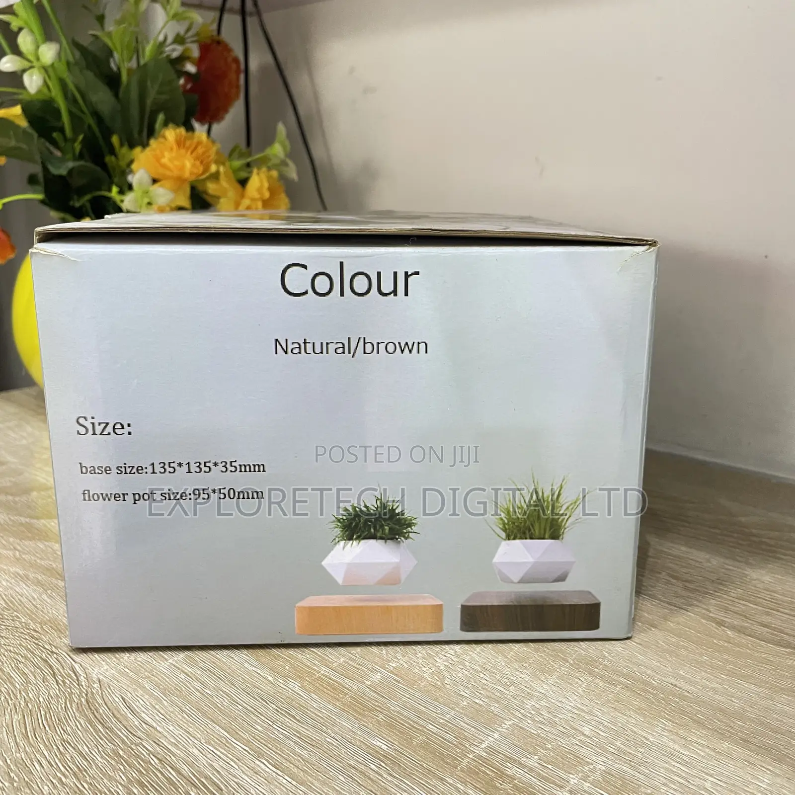 Levitating Flower Pot