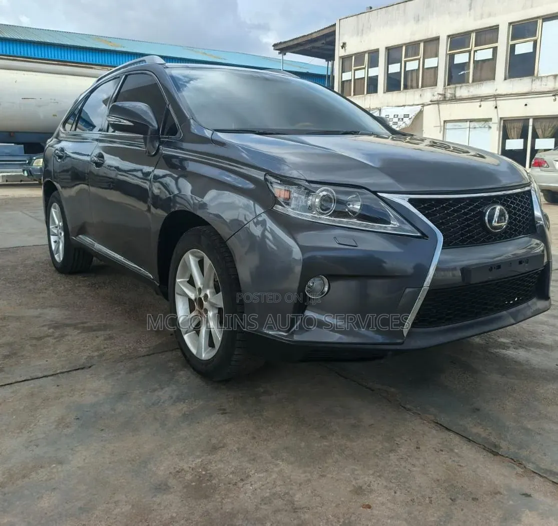 Lexus RX 2010 Gray