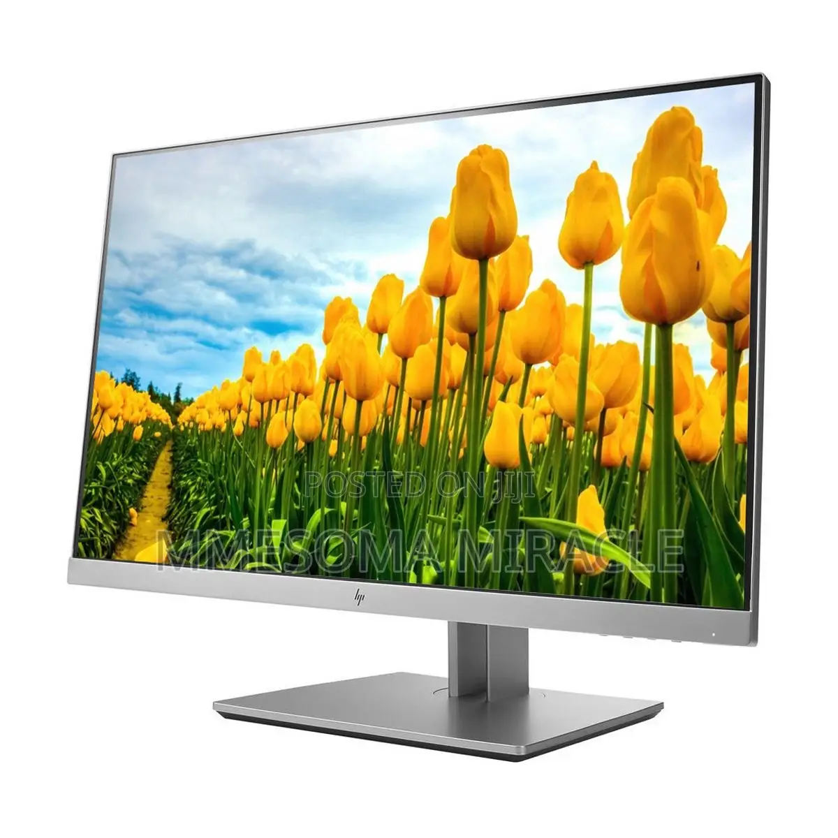 HP EliteDisplay E233 23-Inch Monitor