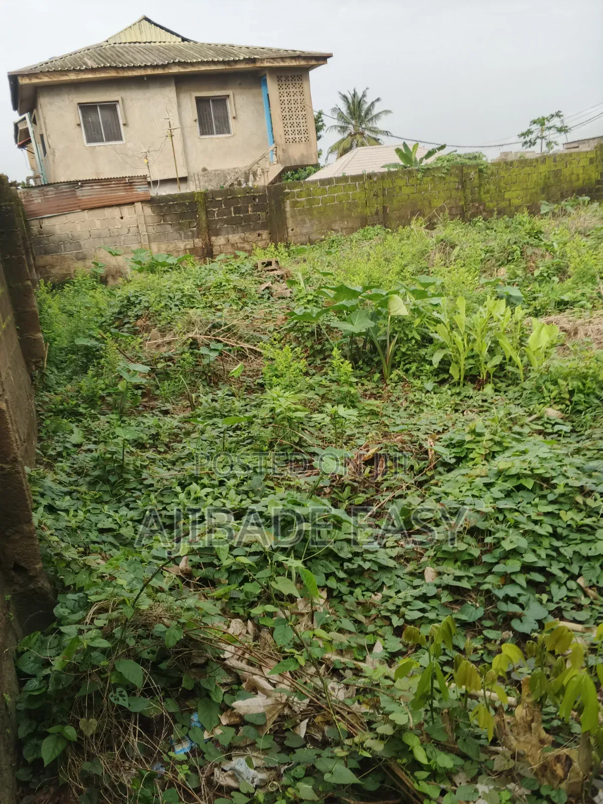 Residential Land for Sale in Ayobo