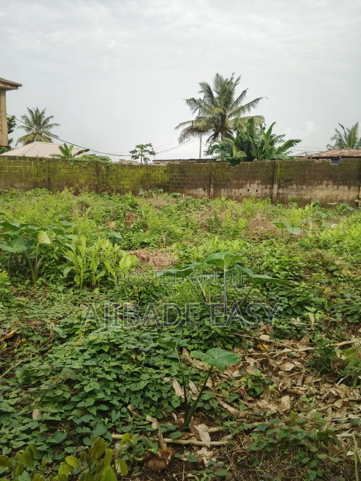 Residential Land for Sale in Ayobo