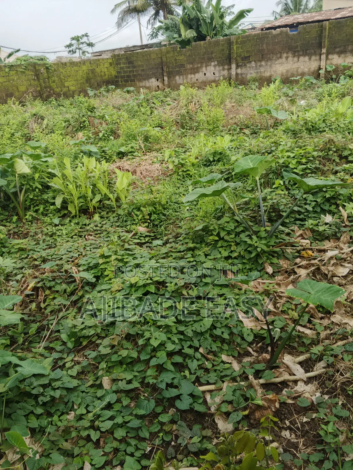 Residential Land for Sale in Ayobo