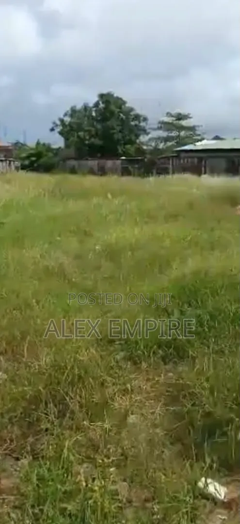 Land for Sale in Amuwo Odofin, Festac
