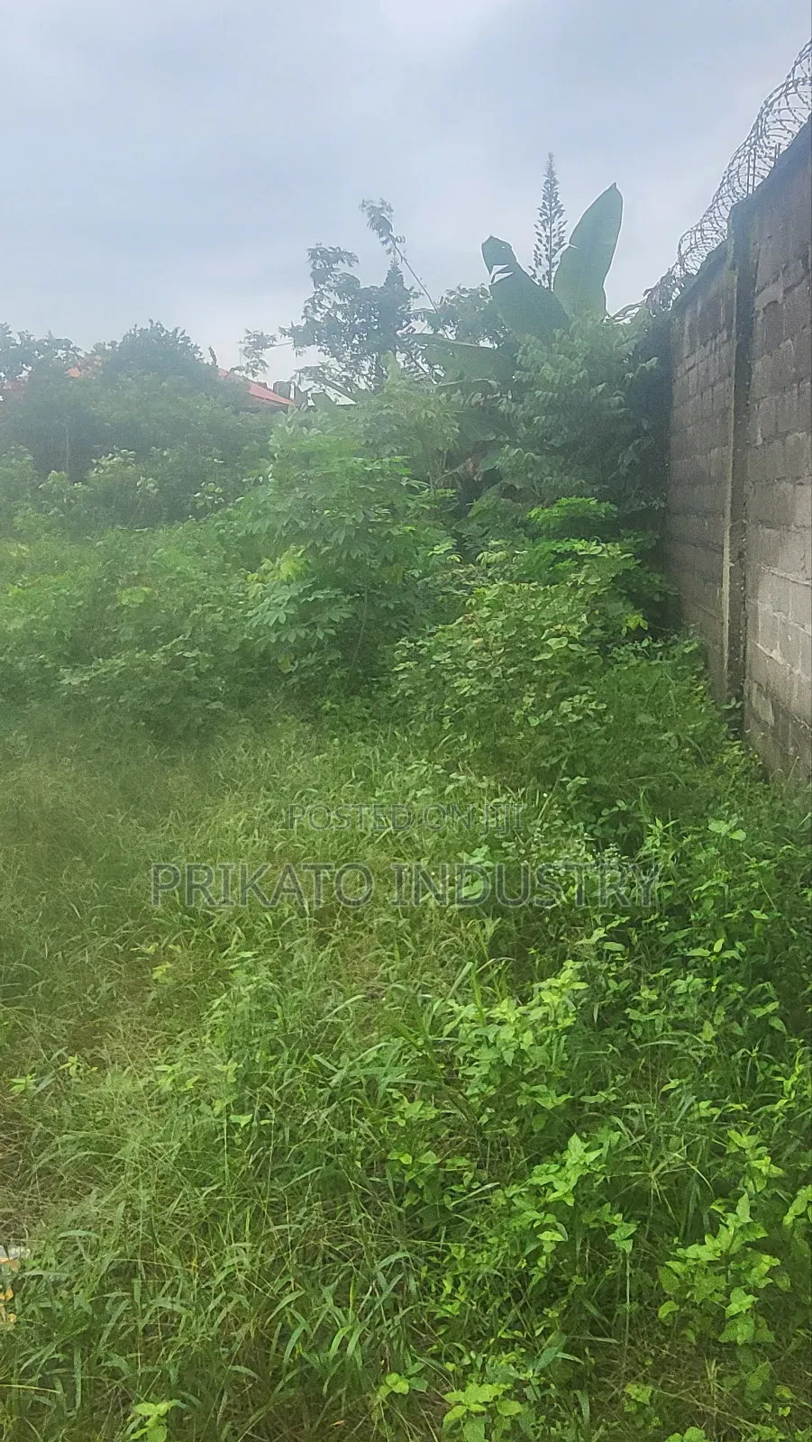 Full Plot of Land Gated in Eputu With Governors Consent