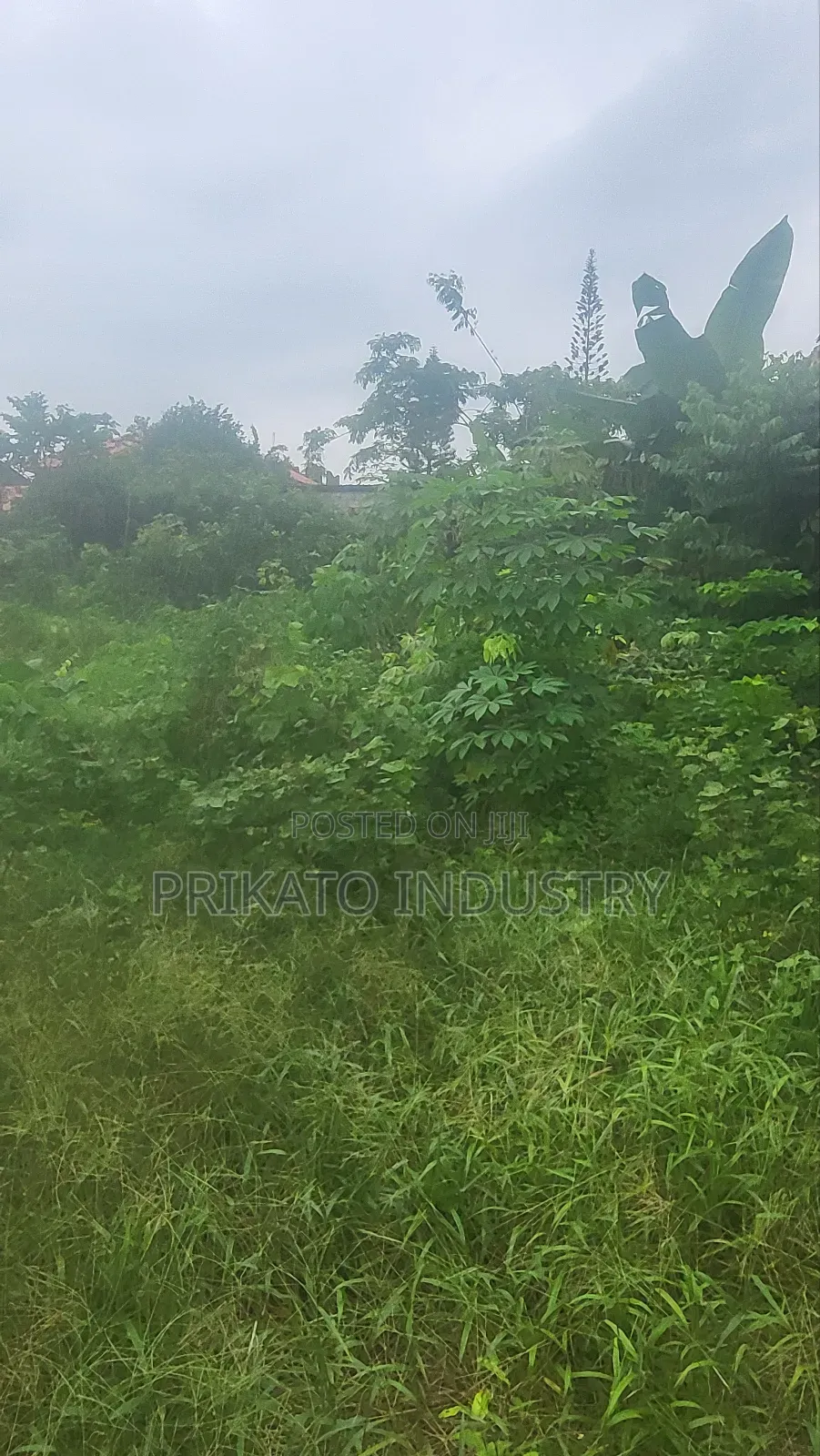 Full Plot of Land Gated in Eputu With Governors Consent