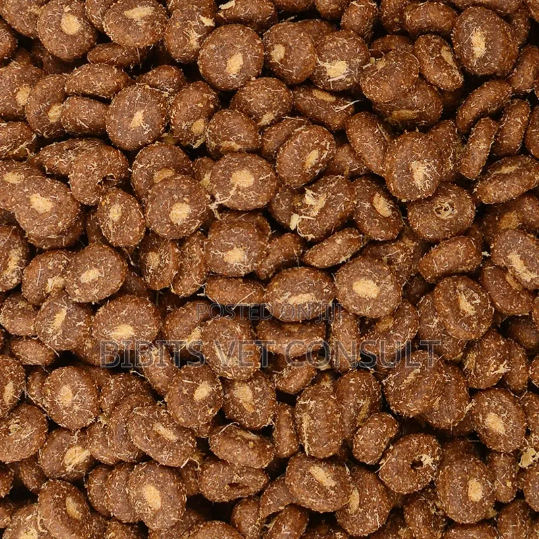 EASA Kitten Cat Crunchy Food 1.5/3/10kg