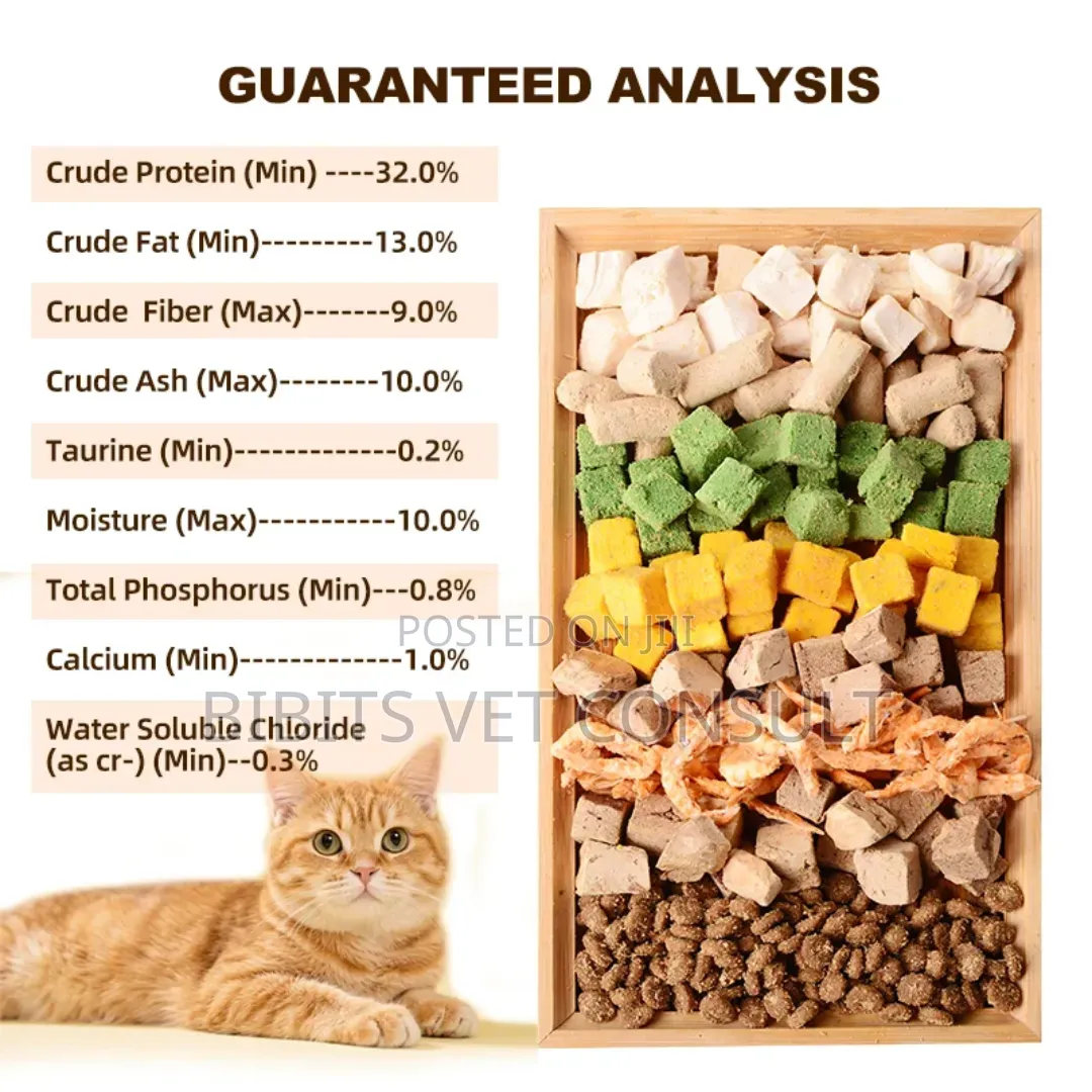 EASA Kitten Cat Crunchy Food 1.5/3/10kg