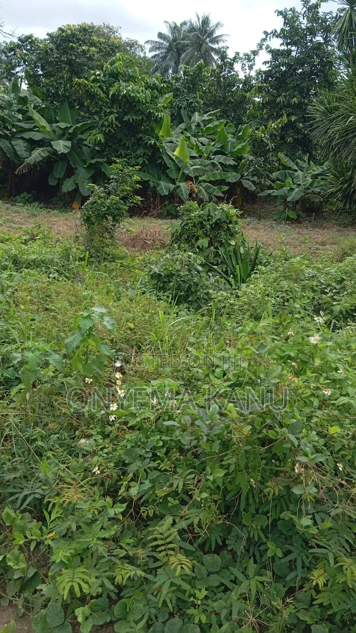 4 Plots Facing Aba-Portharcourt Highway