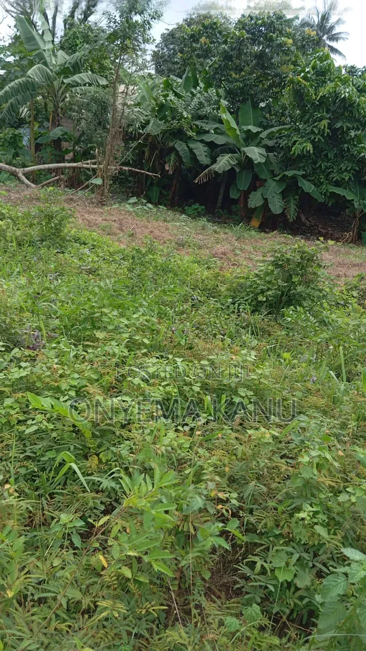 4 Plots Facing Aba-Portharcourt Highway