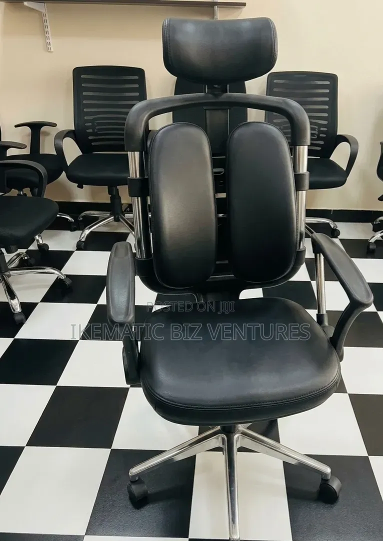 Ergonomic Executive Office Chair