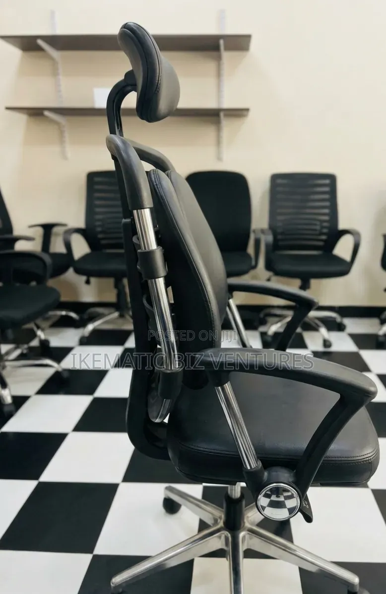 Ergonomic Executive Office Chair