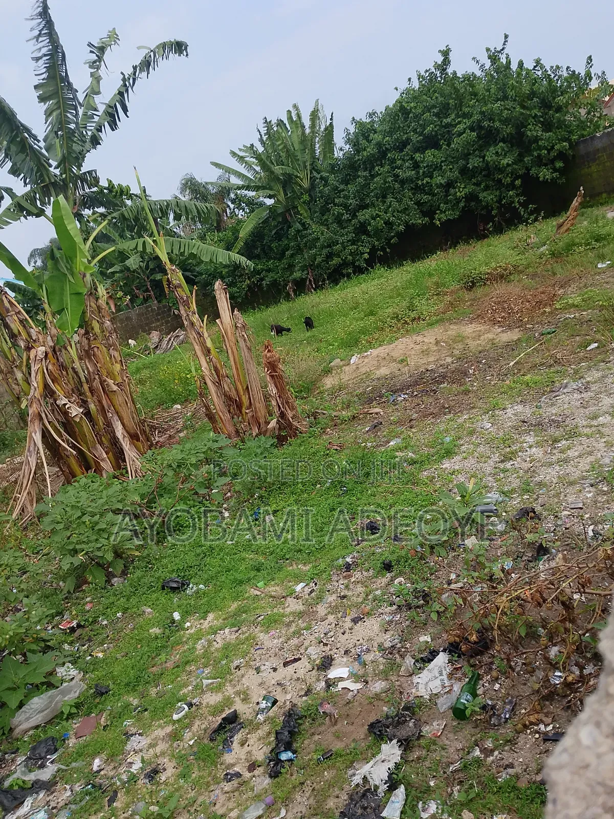 Over a Plot of Land for Sale AT Lakowe Adeba