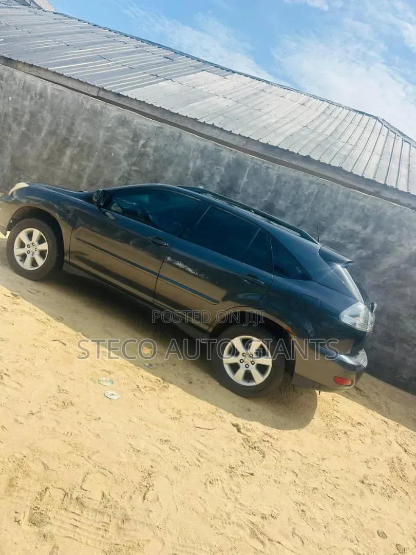 Lexus RX 2005 Gray