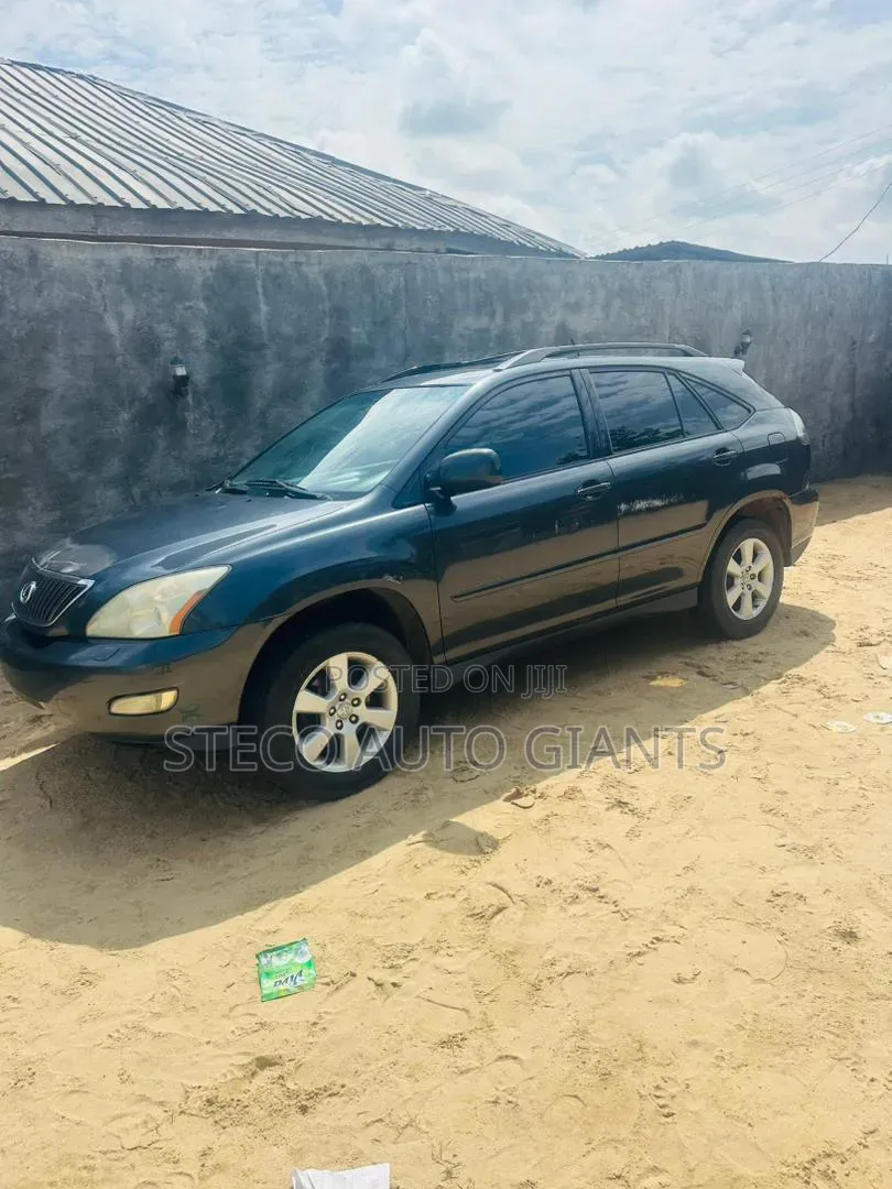 Lexus RX 2005 Gray