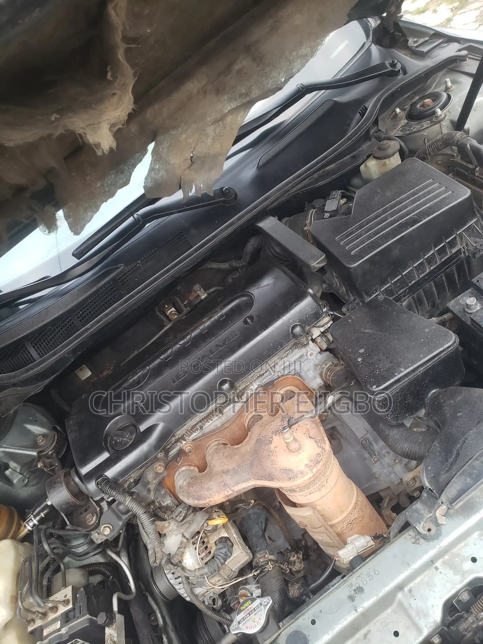 Toyota Camry LE 4dr Sedan (2.4L 4cyl 5A) 2008 Green