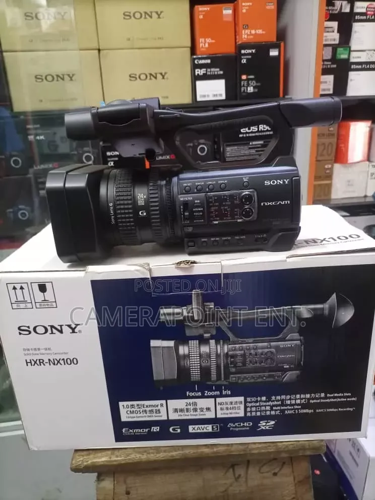 Sony NX100