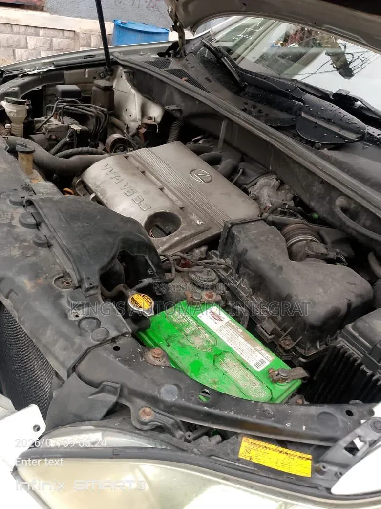 Lexus RX 2005 Silver