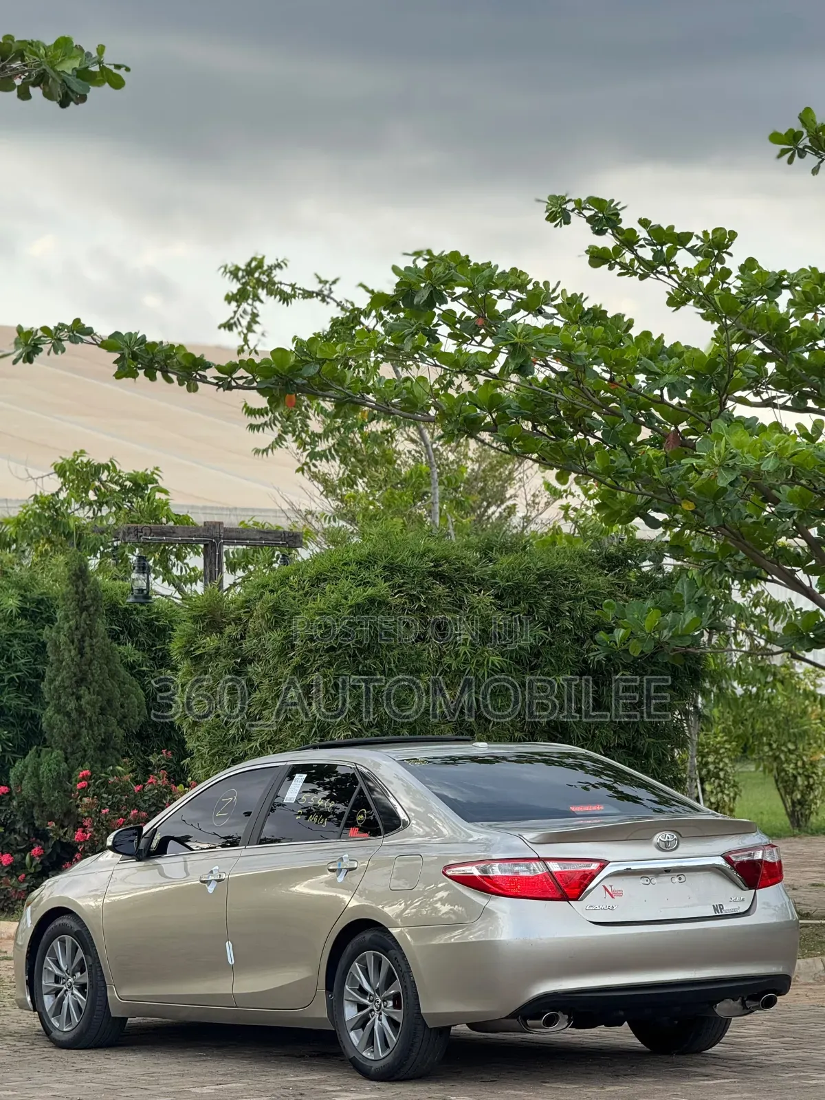 Toyota Camry XLE V6 4dr Sedan (3.6L 6cyl 6A) 2016 Gold