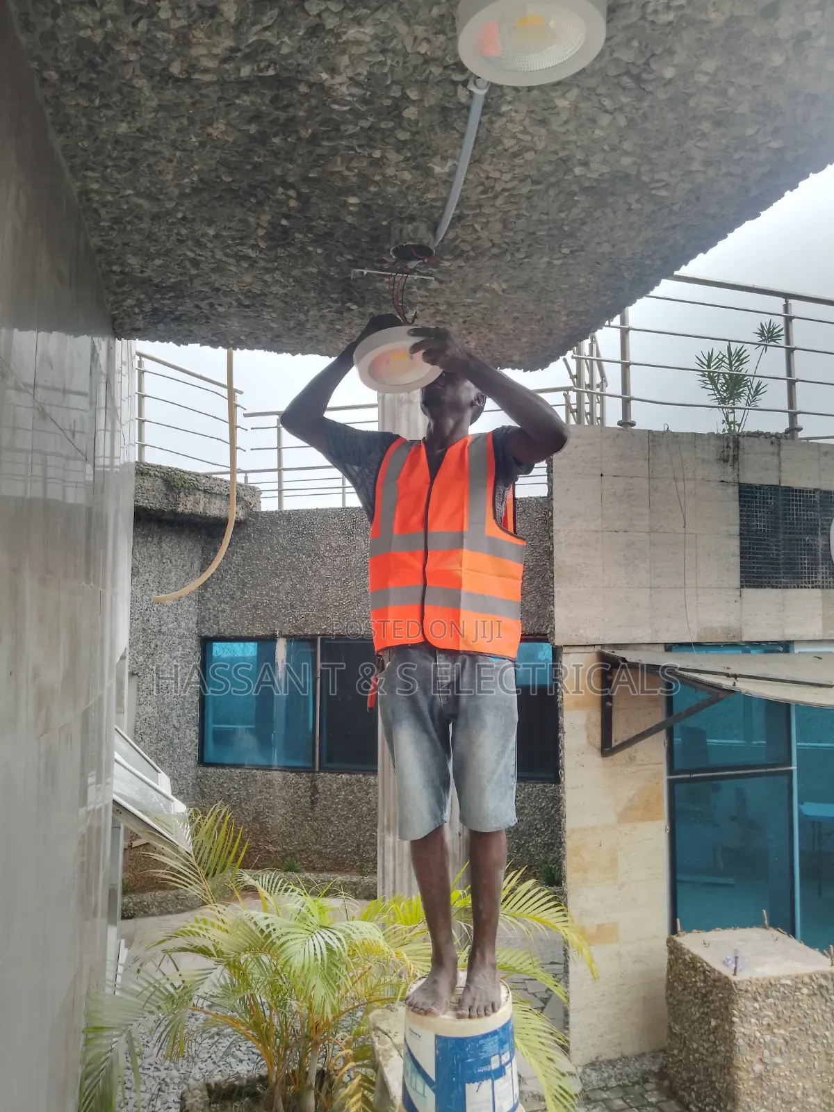 Professional Electrician