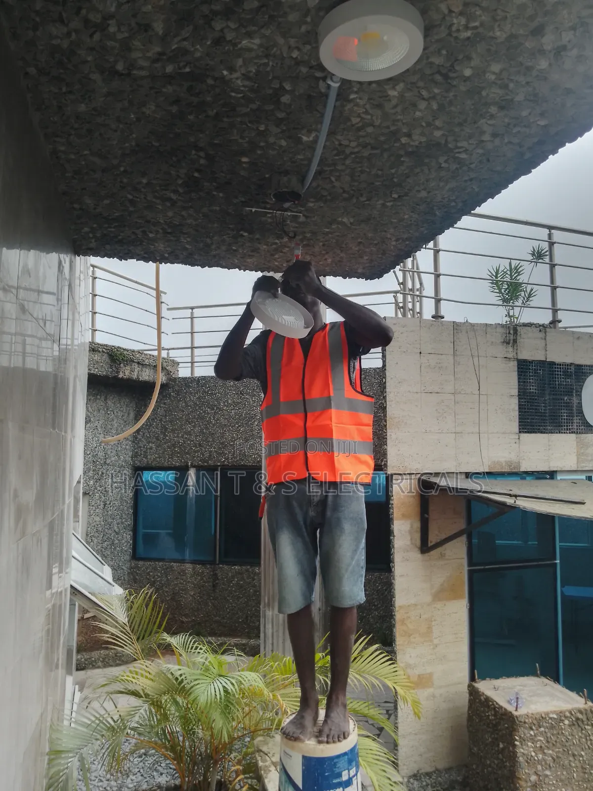 Professional Electrician