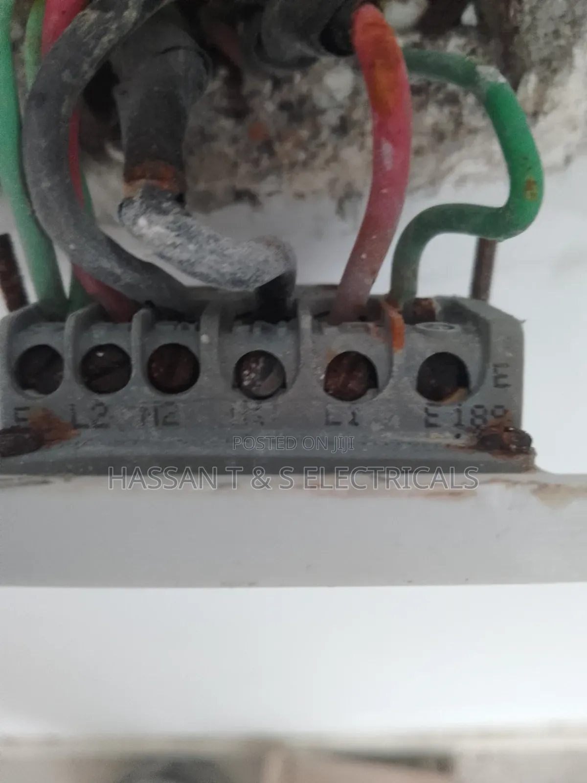 Professional Electrician
