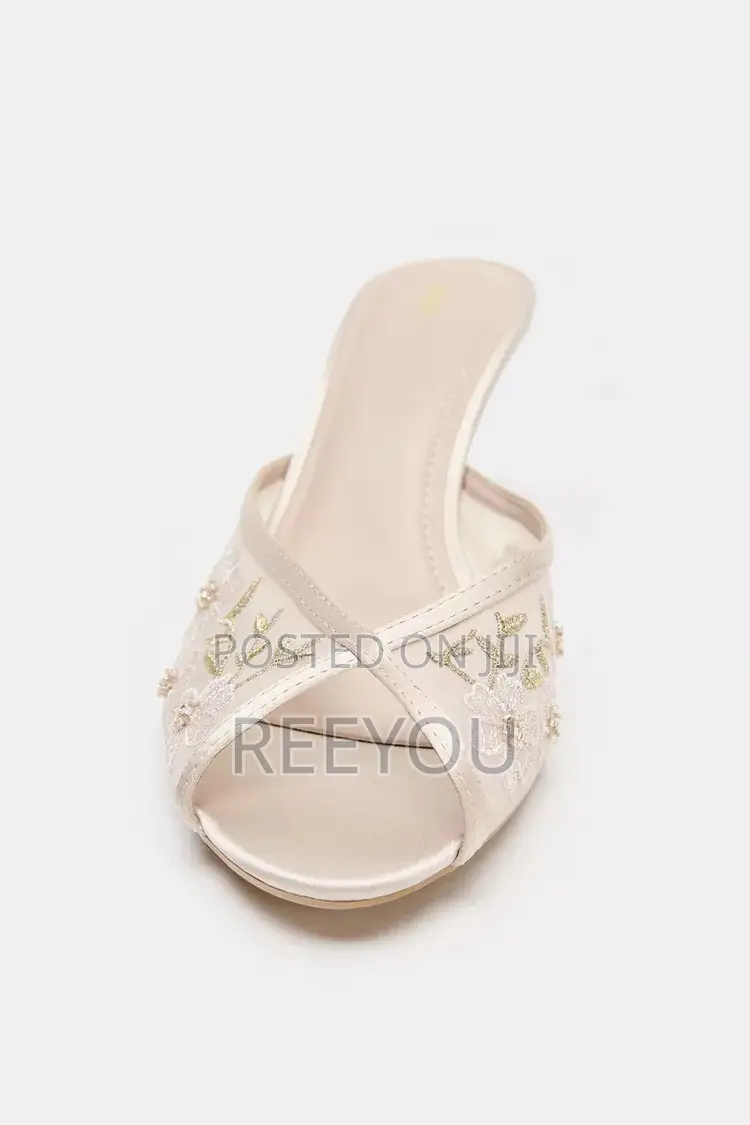 Zara Embroidered Mesh Mule Heels