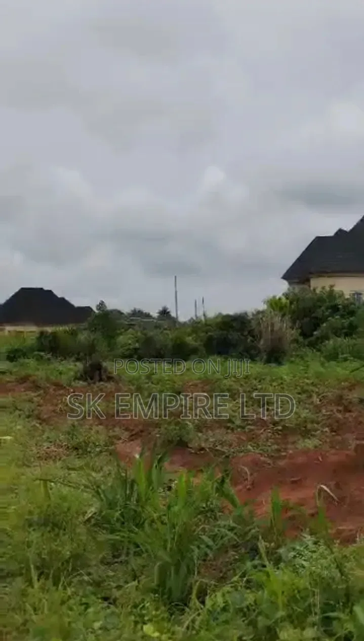 Highly Affordable, Please Don't Miss It