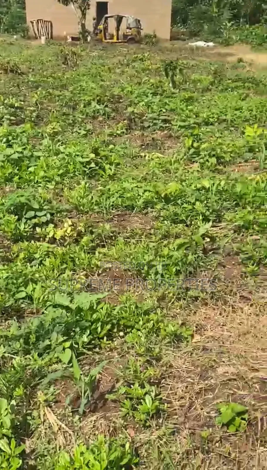 Cheap Plot of Land at Eni Osa Olorunda After Akobo Oju Irin