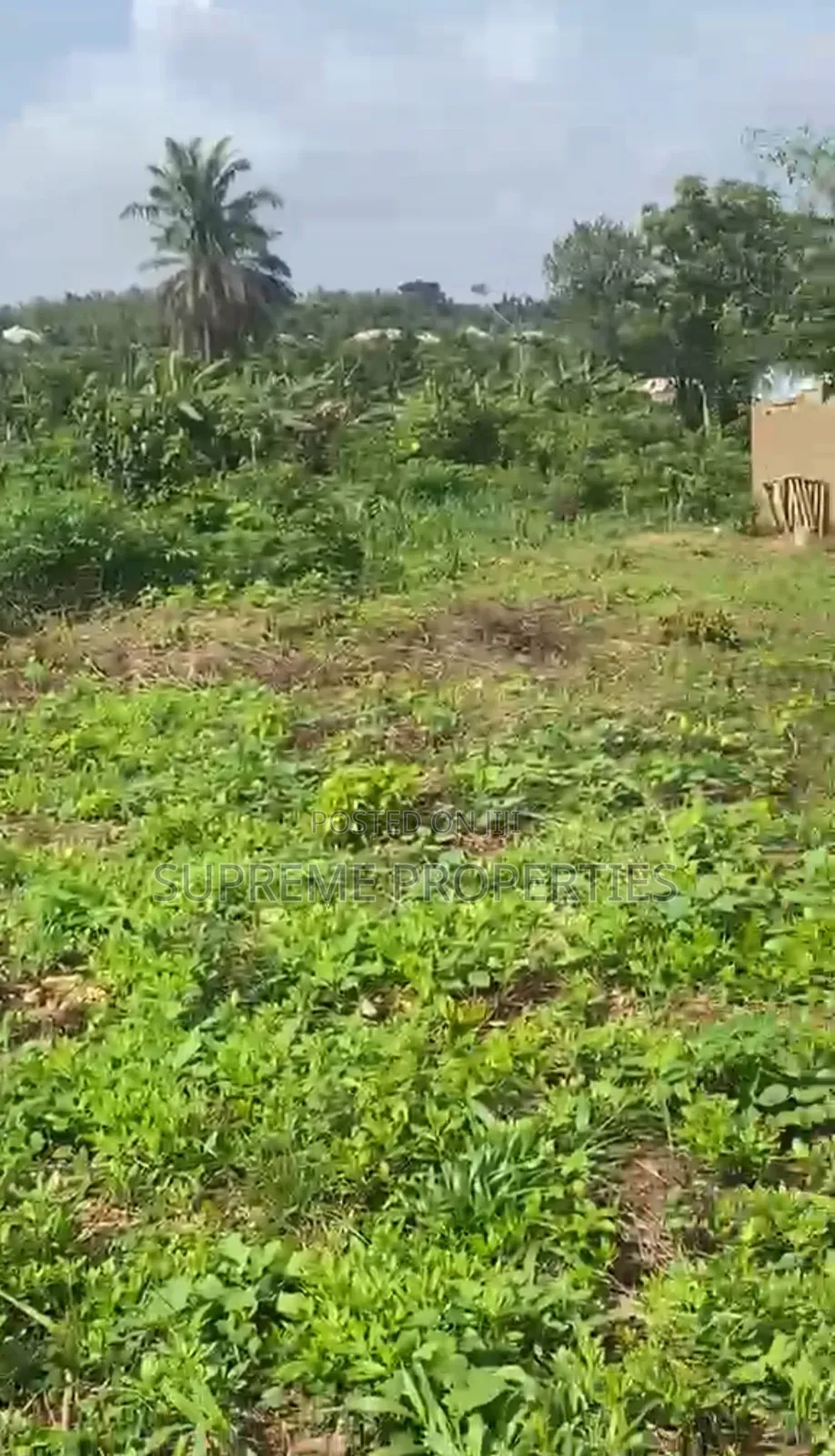 Cheap Plot of Land at Eni Osa Olorunda After Akobo Oju Irin