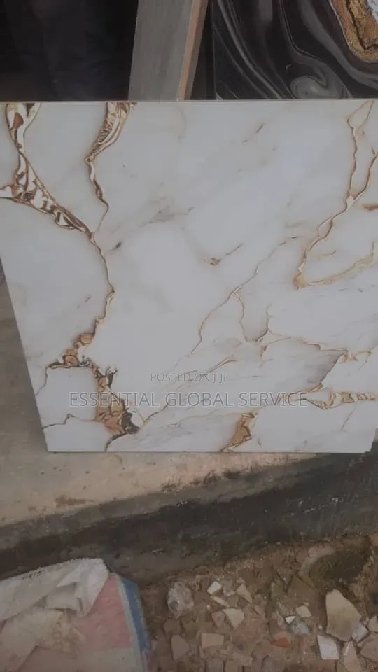 60*60 Nigeria Tile