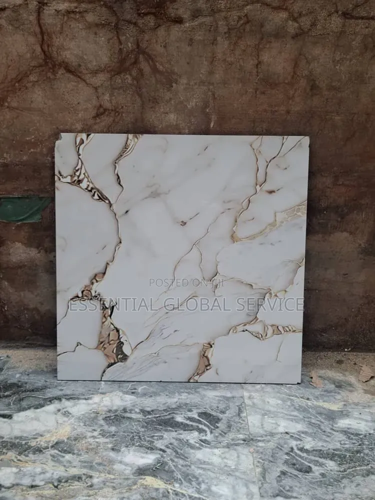 60*60 Nigeria Tile