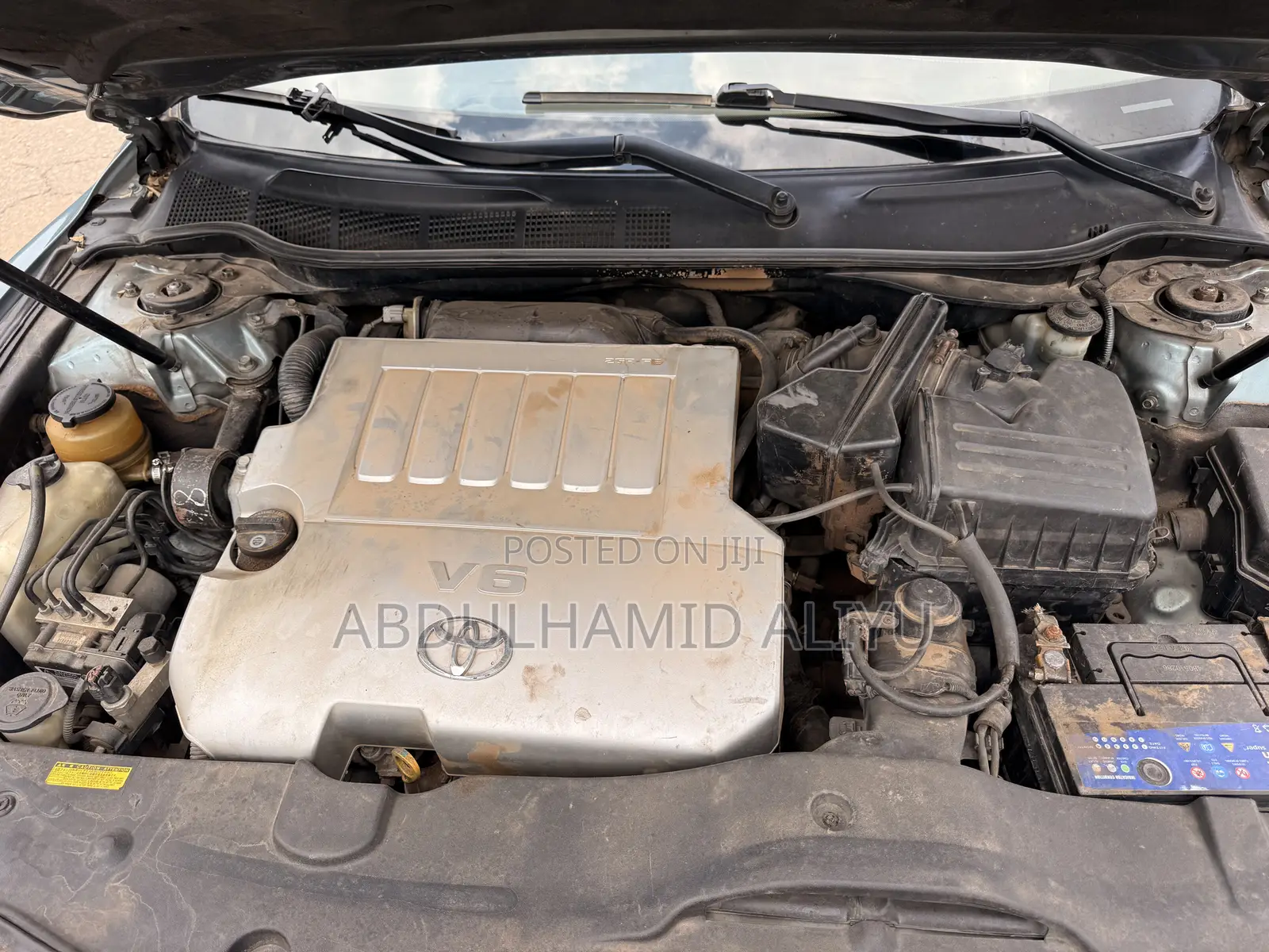 Toyota Camry XLE V6 4dr Sedan (3.5L 6cyl 6A) 2011 Green