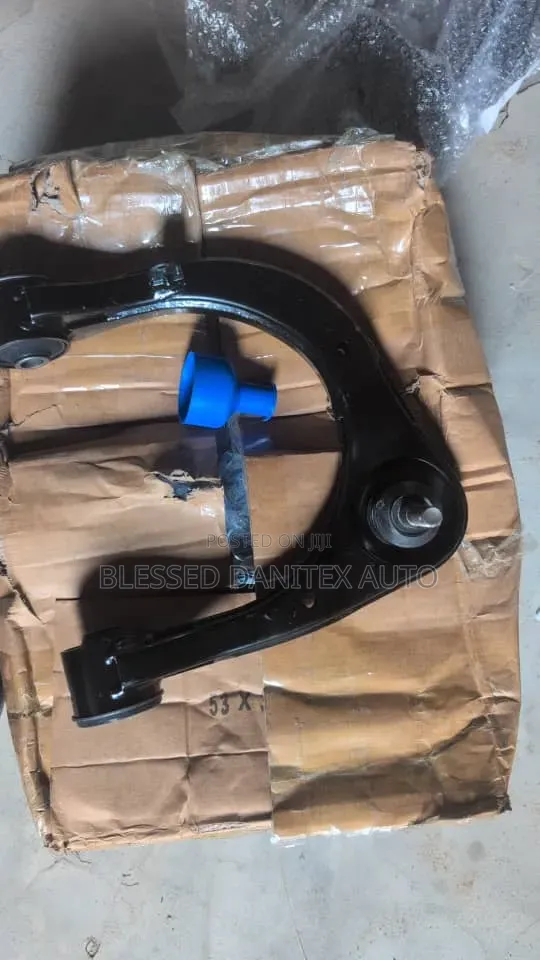 Upper Arm Prado 2024