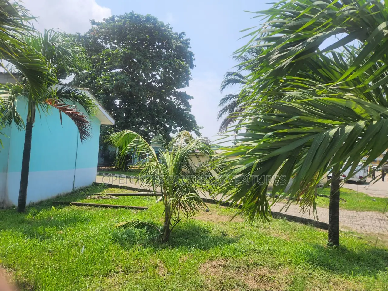 3 Acres of Land in a Good Area