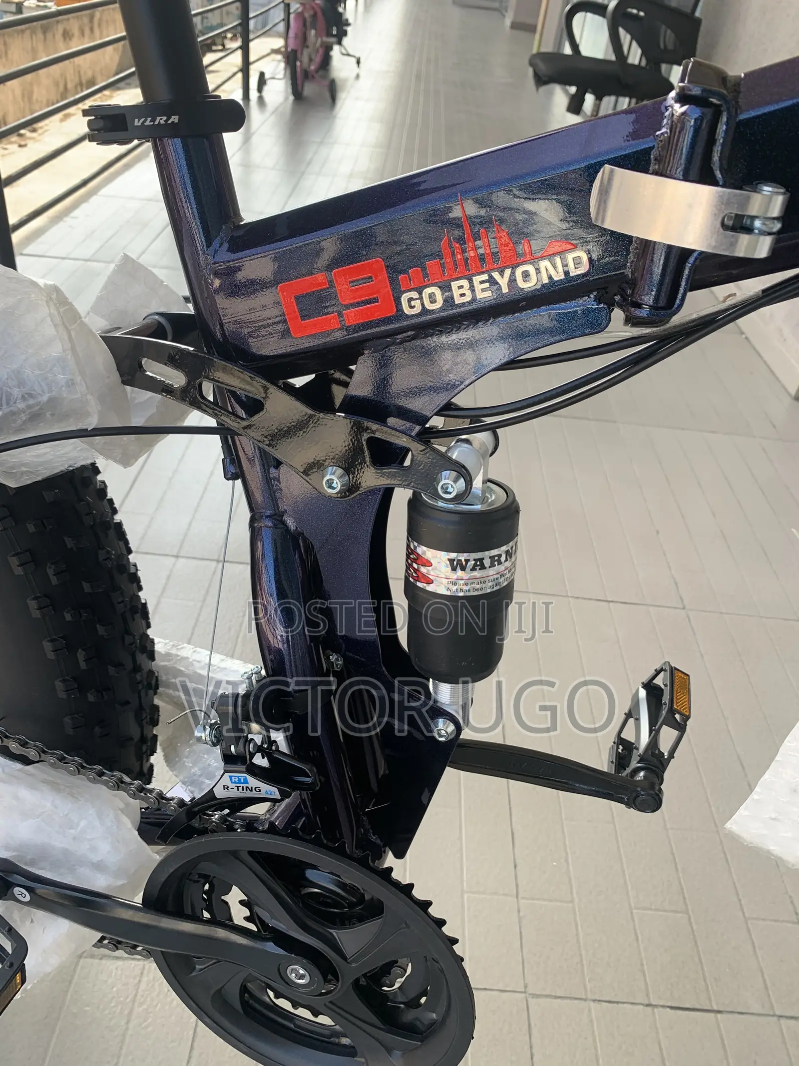 Adult Bicycle
