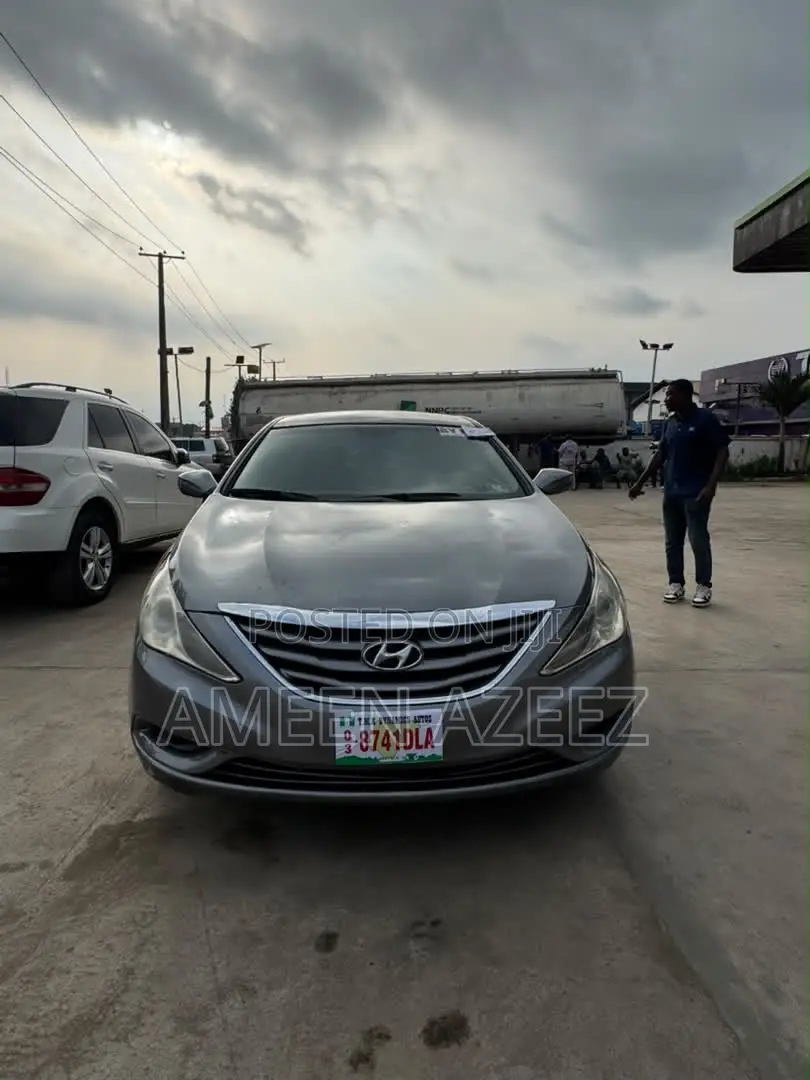 Hyundai Sonata 2010 Gray