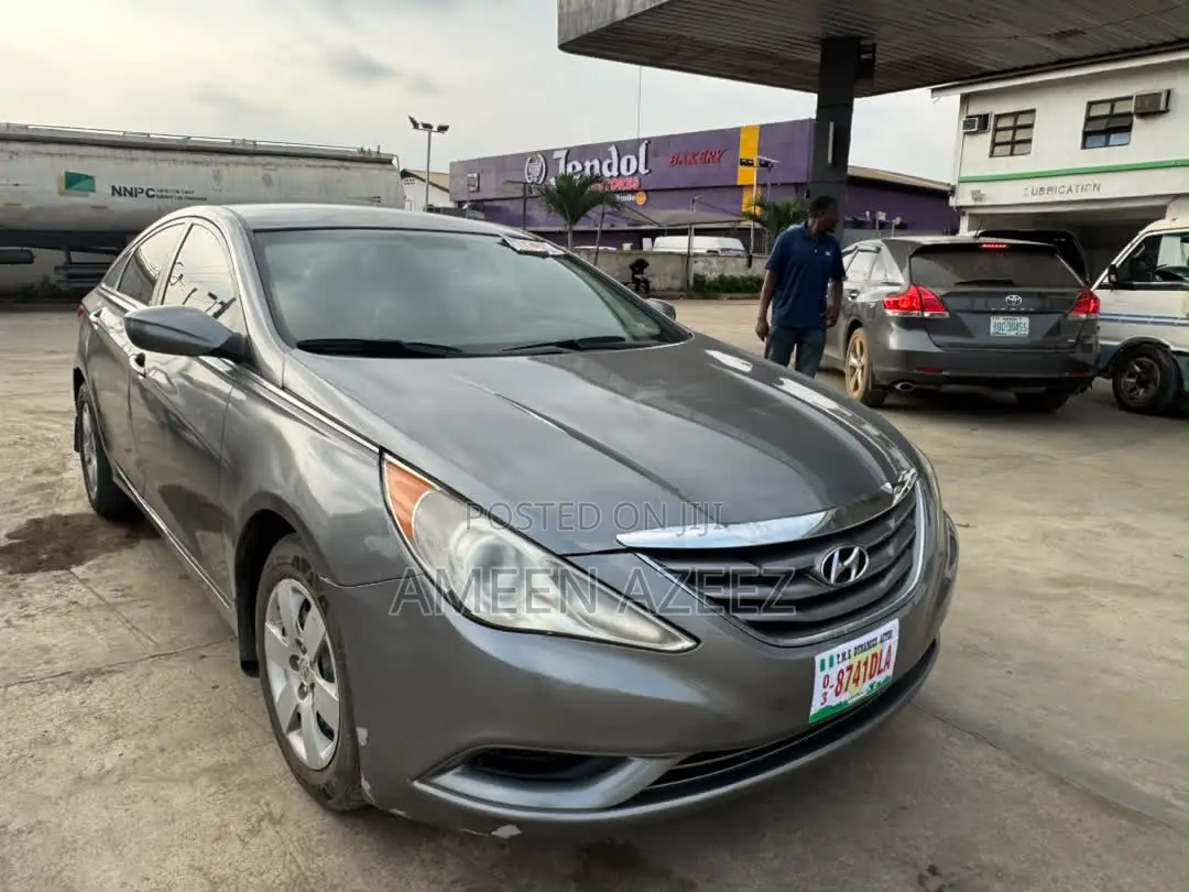 Hyundai Sonata 2010 Gray
