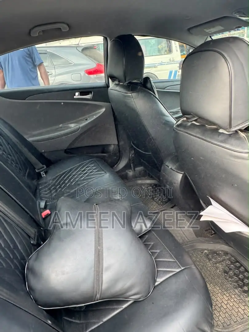 Hyundai Sonata 2010 Gray
