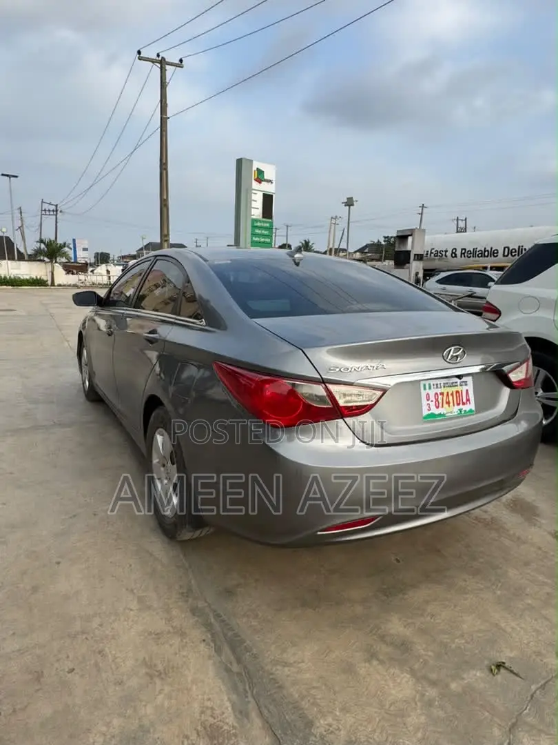 Hyundai Sonata 2010 Gray