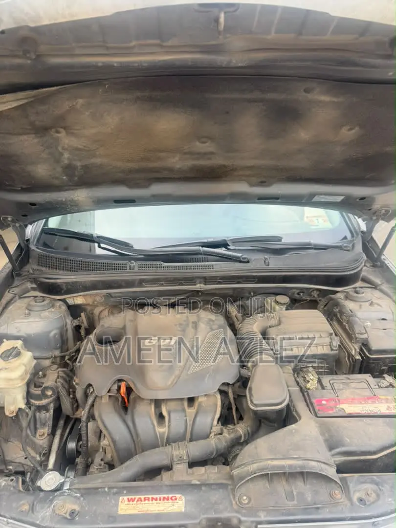 Hyundai Sonata 2010 Gray