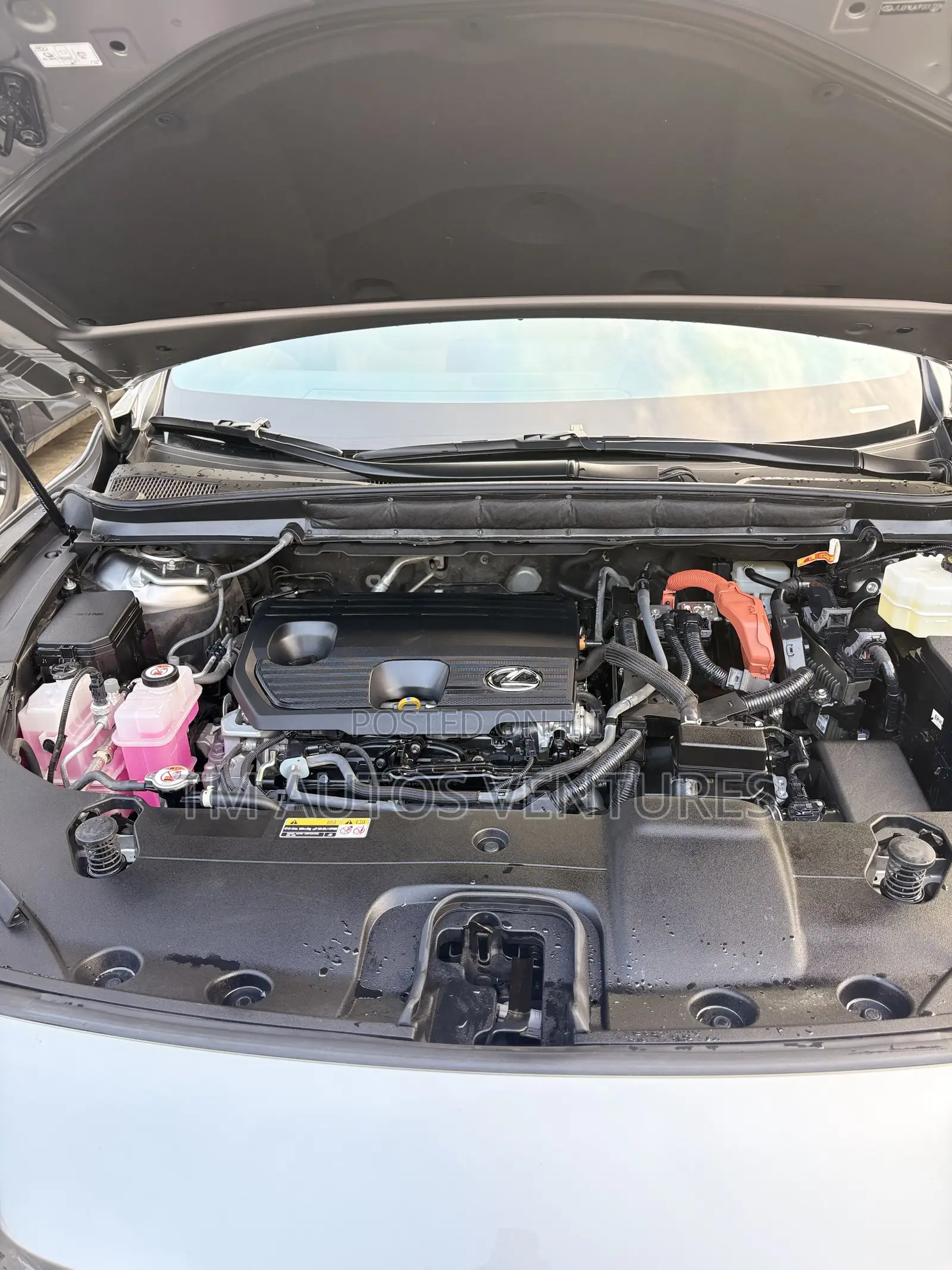 Lexus LX 2024 Beige