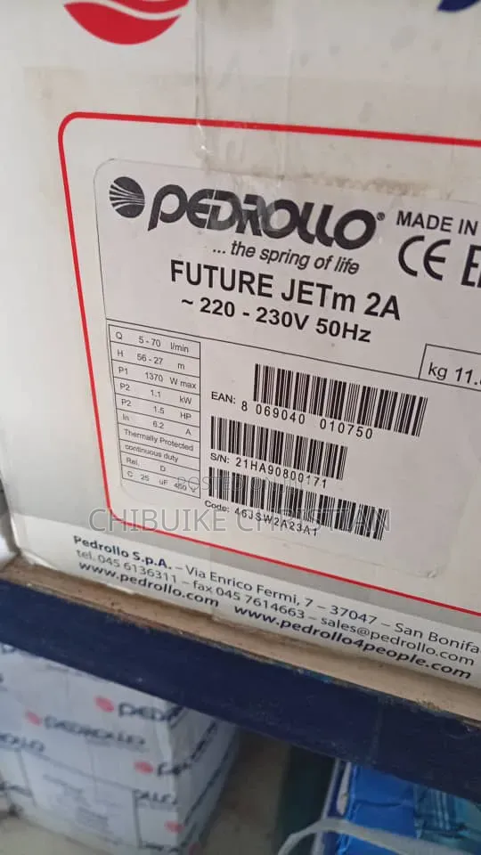 1.5hp Pedrollo Long Head