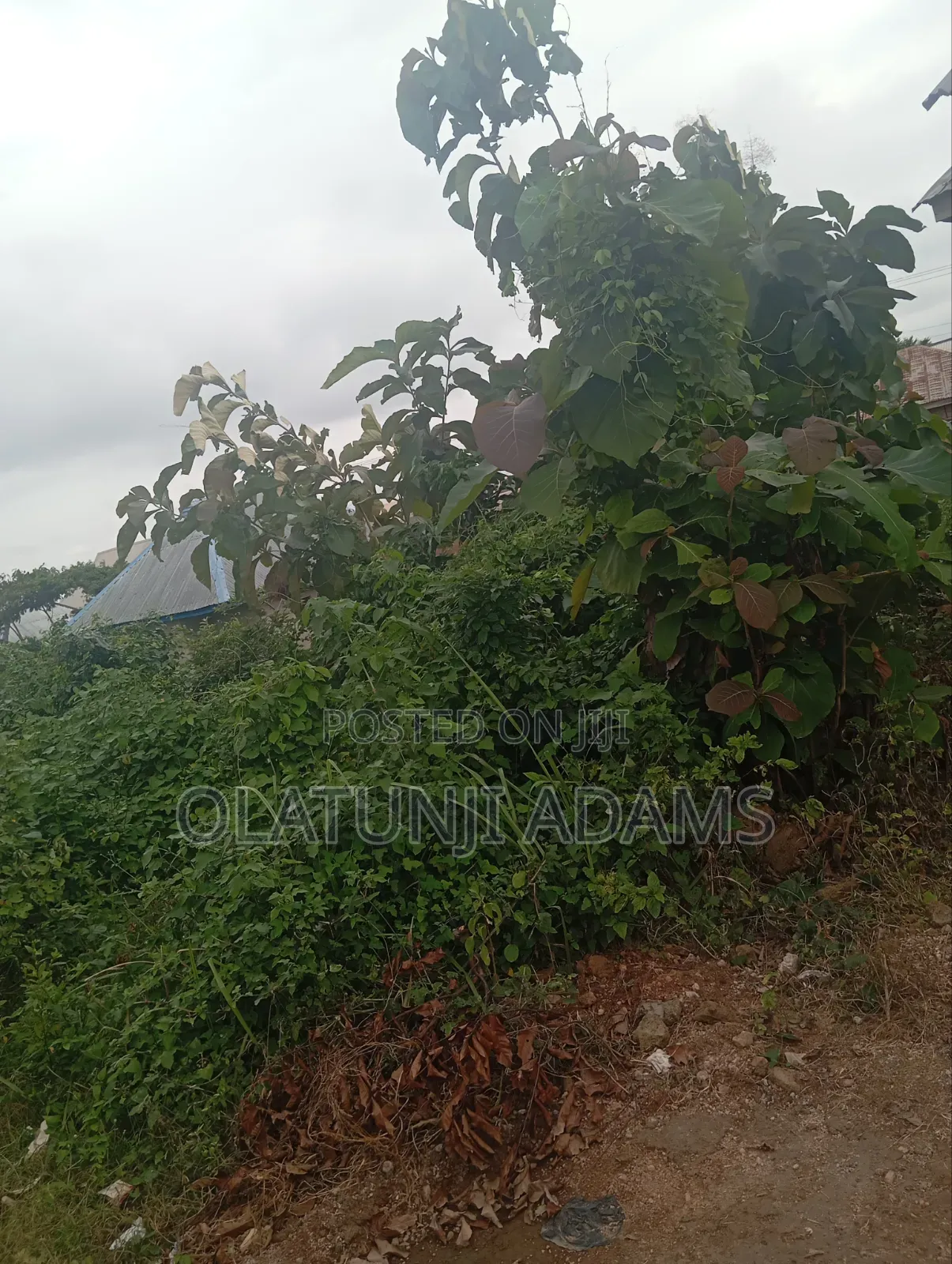 Half Plot of Land at Kunike Int'l School