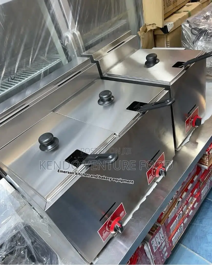 20 Liter Deep Fryer