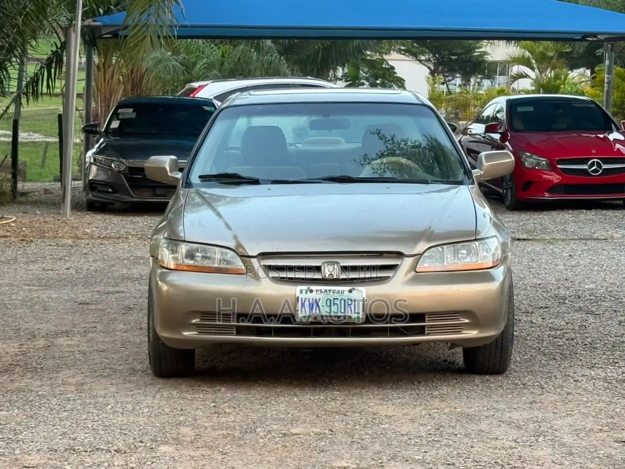 Honda Accord 2000 Gold