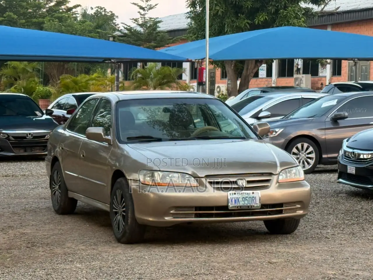 Honda Accord 2000 Gold
