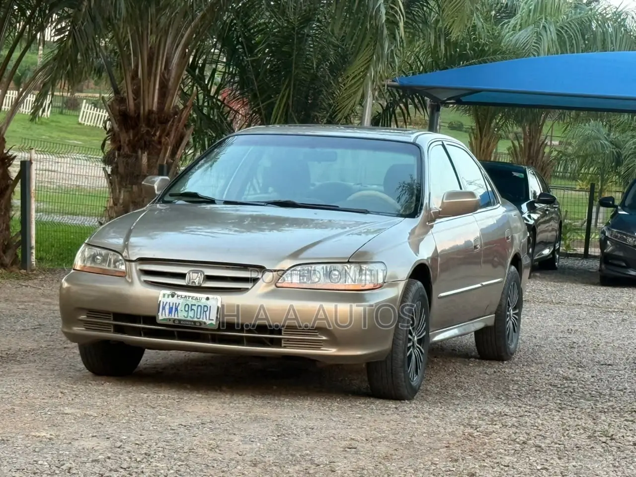 Honda Accord 2000 Gold