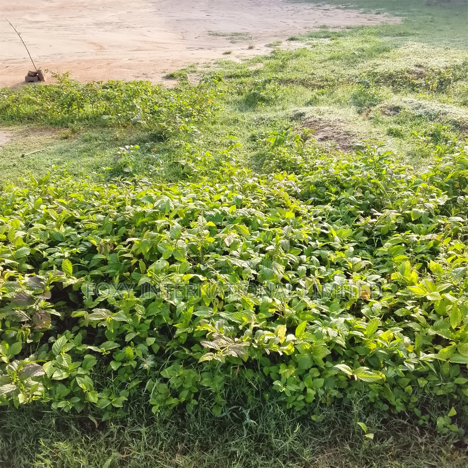 2679 SQM for Sale at Lugbe