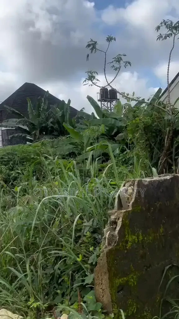One Plot of Land for Sake at SARS Road Ph