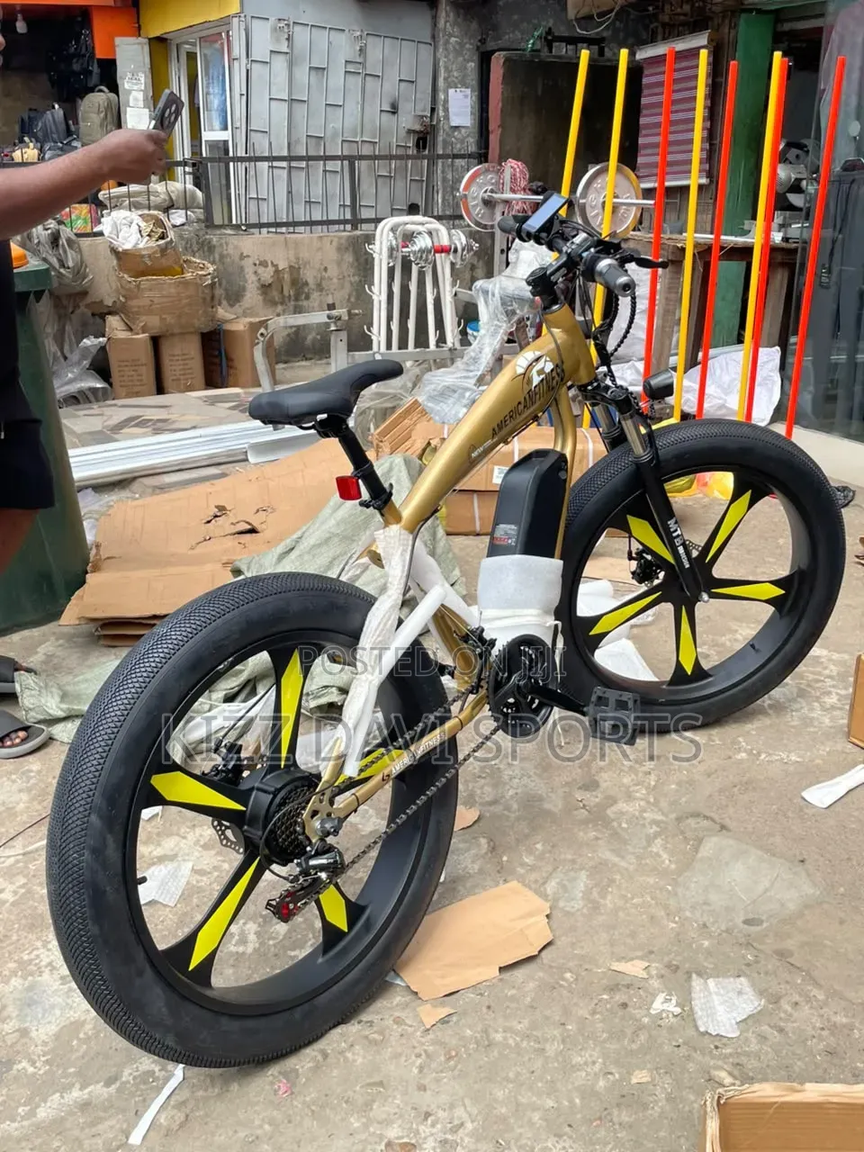 Electric Bicycle American Fitness Quality